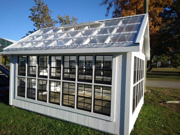 Resized_20231023_1654481