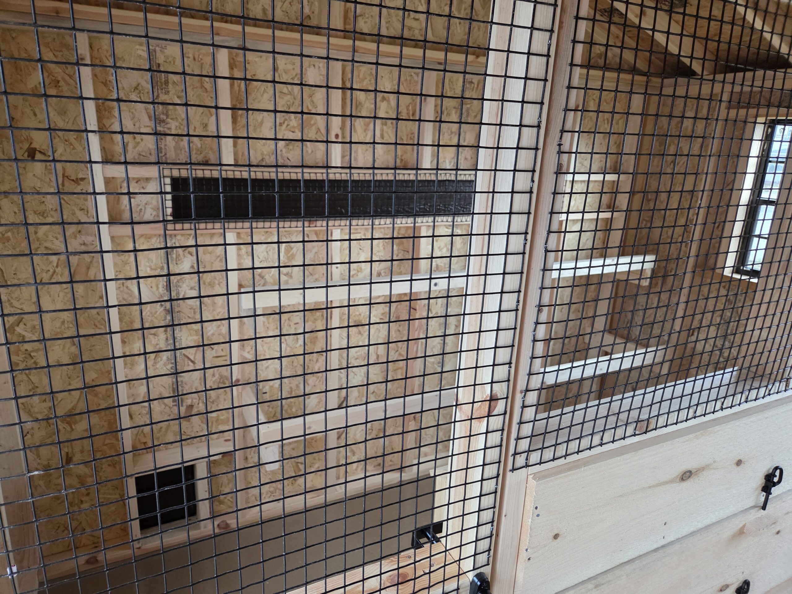 Double Run Chicken Coop